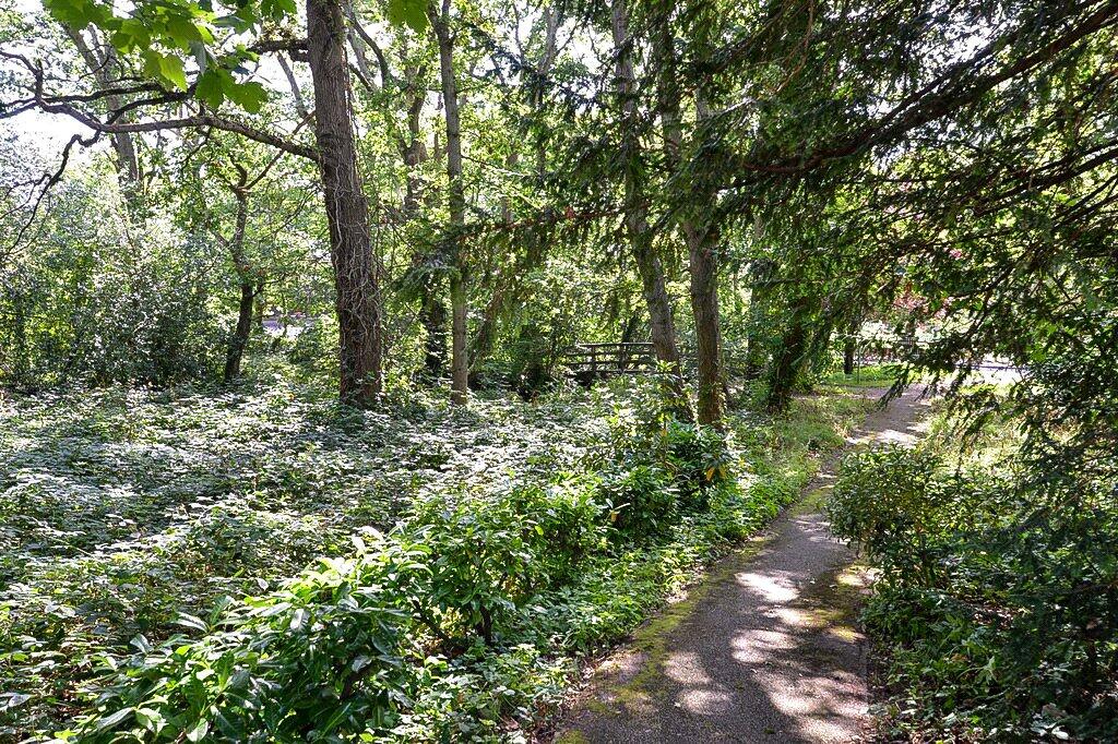 Additional image 12 of Lakeside Pines, Barrs Avenue, New Milton, Hampshire, BH25