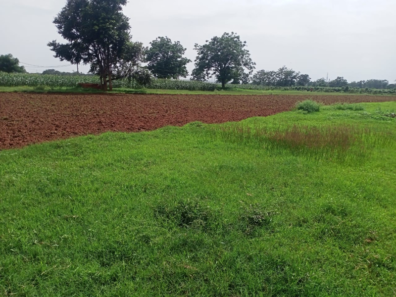 Additional image 3 of Itki, Ranchi