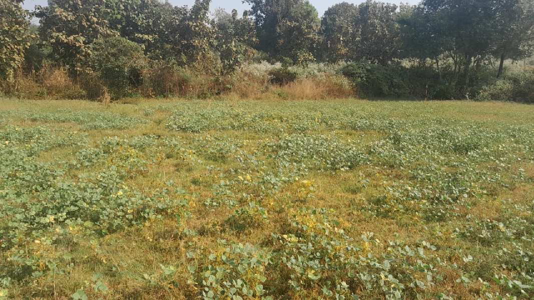 Additional image 2 of Murbad, Thane