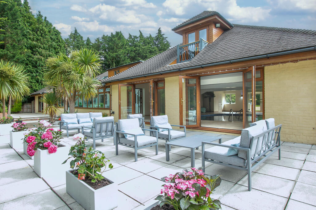 Additional image 31 of Matchams