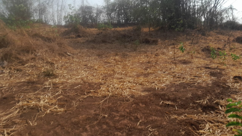 Additional image 2 of Murbad, Thane