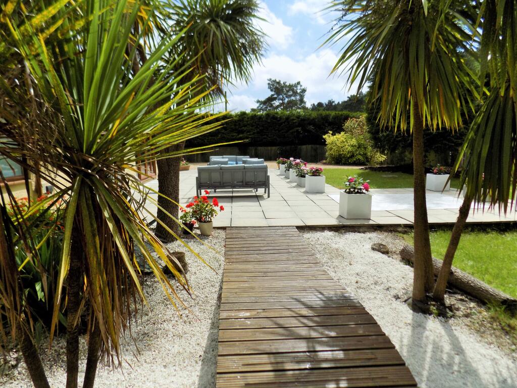 Additional image 30 of Matchams