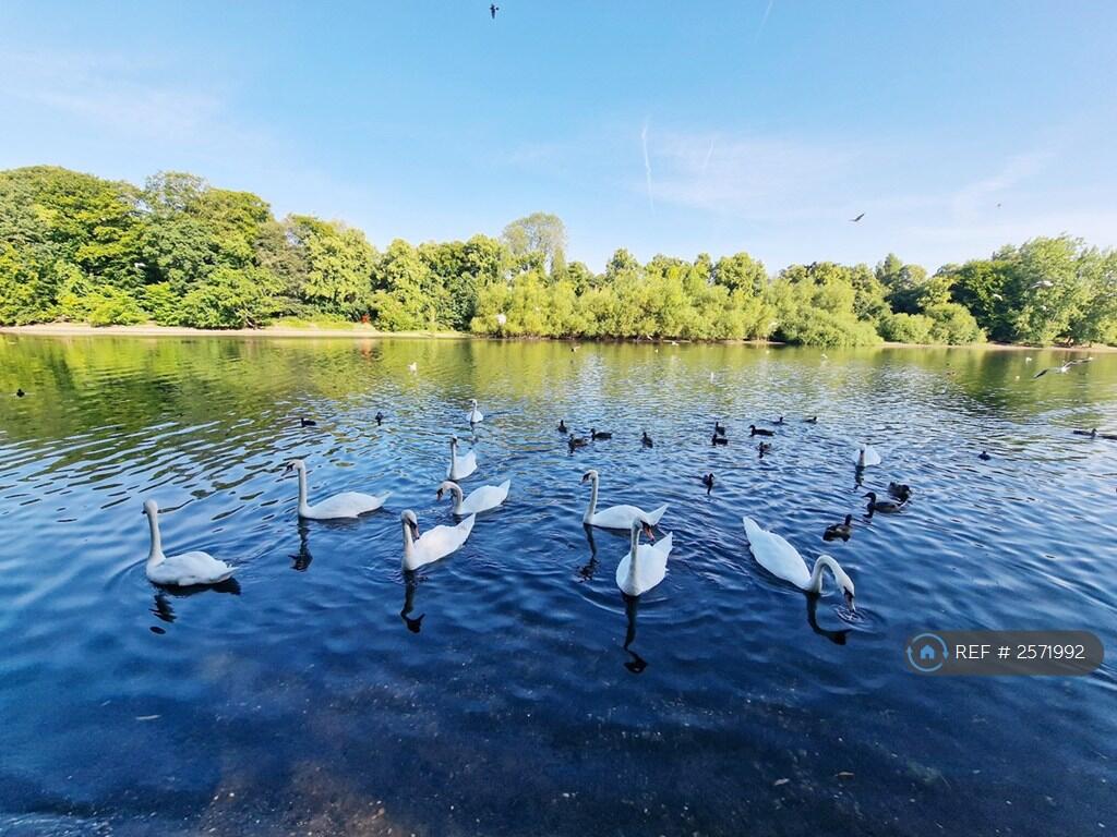 Additional image 25 of Clarendon Road, Birmingham, B16