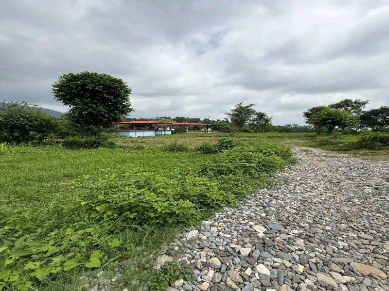 Additional image 2 of Thano, Dehradun