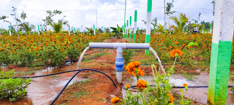 Additional image 3 of Kelambakkam, Chennai