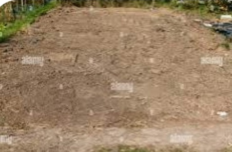 Alanganallur, Madurai