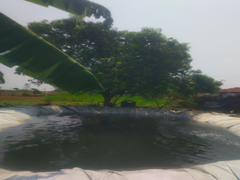 Additional image 3 of Karamadai, Coimbatore