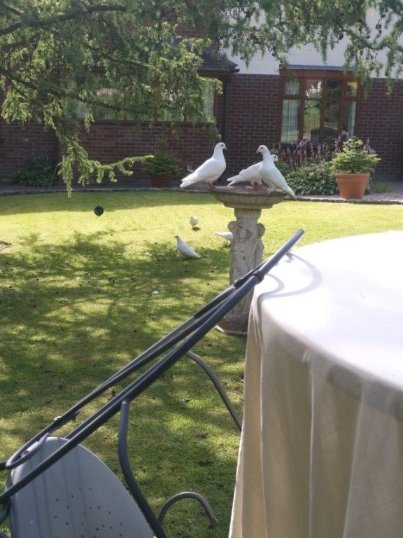 Additional image 36 of 5 Lostock Junction Lane, Bolton, BL6 4JR