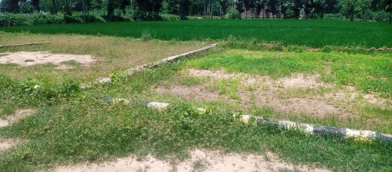 Additional image 3 of Karjaha, Gorakhpur