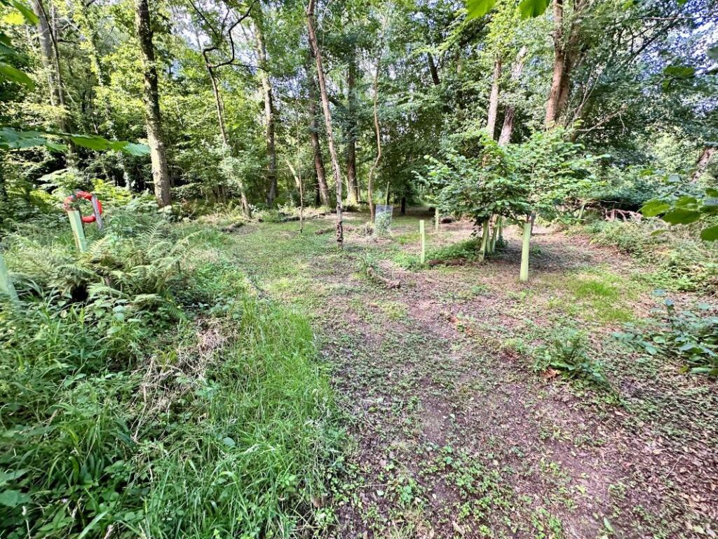 房产图片 12 - 威廉斯林地，Uddens Drive，温茂尔，多塞特，BH21 7BQ