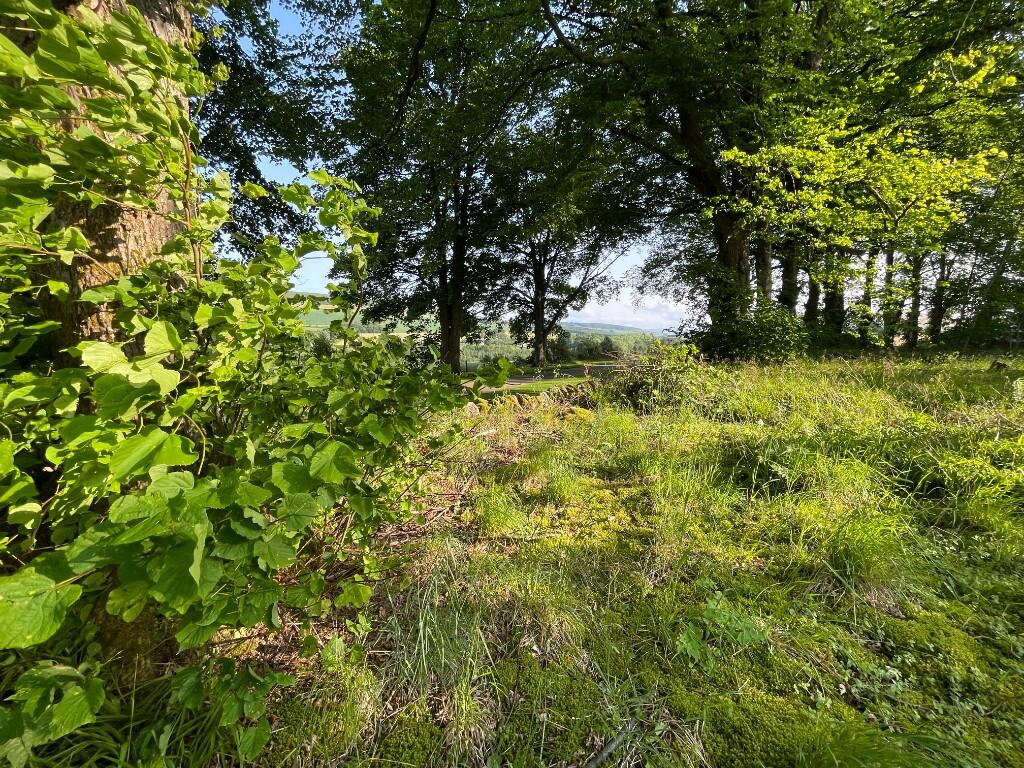 Additional image 5 of Woodland at Former Boharm Church, Mulben, Keith, AB55 6XP