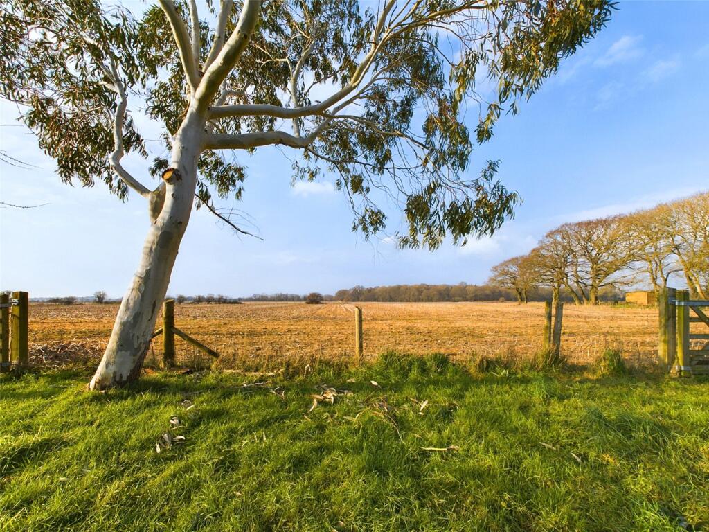 Additional image 18 of Burley Road, Bransgore, Christchurch, Dorset, BH23