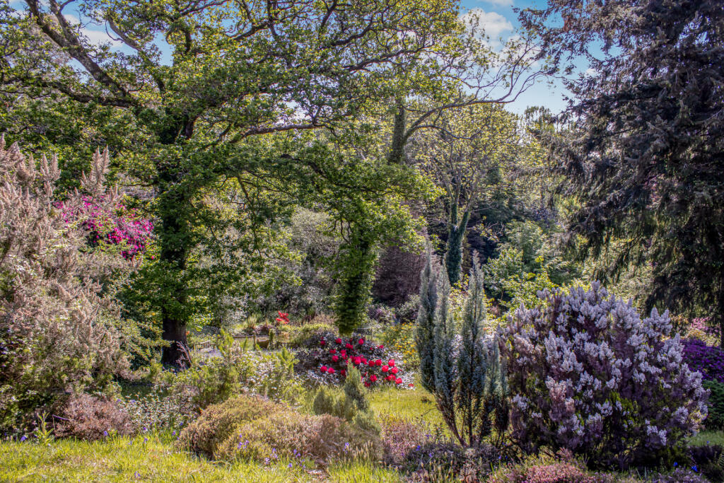 Additional image 31 of Highwood, Ringwood, Hampshire, BH24