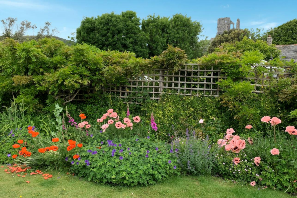 Additional image 37 of West Street, Corfe Castle, Wareham