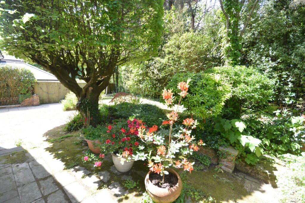 Additional image 20 of York Road, Broadstone, Dorset, BH18