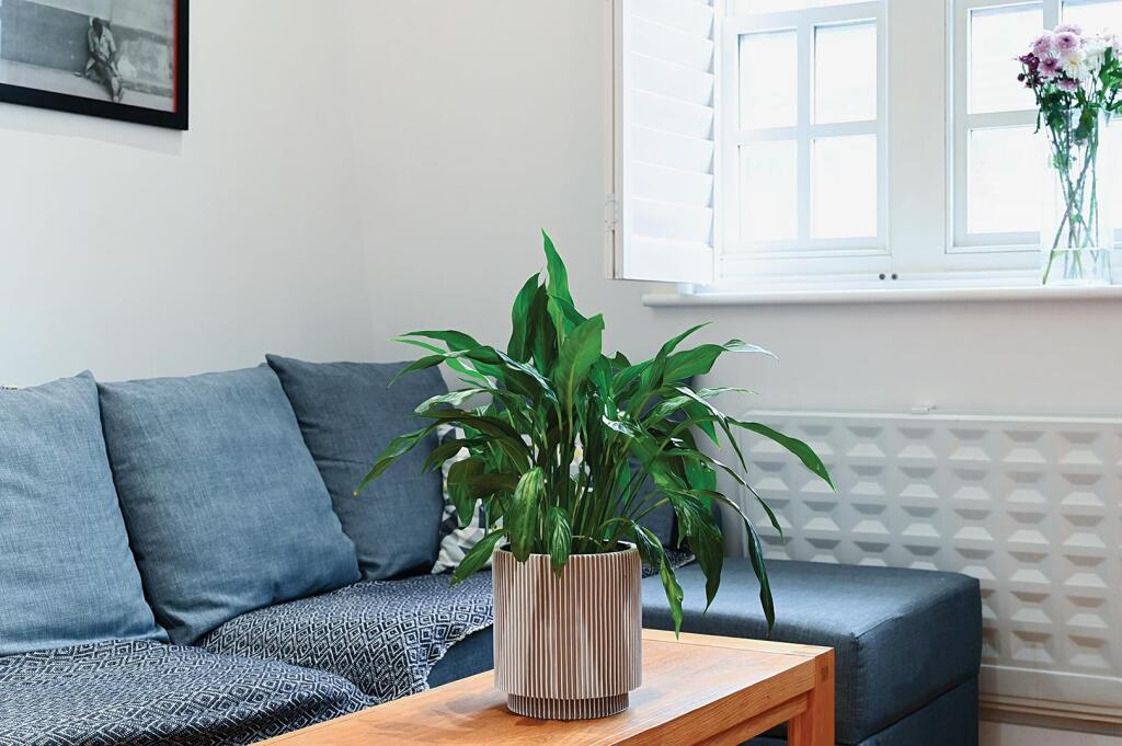 Additional image 11 of Marine Gardens, Brighton