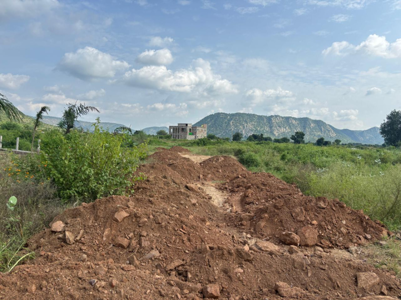 Additional image 3 of Sariska, Alwar