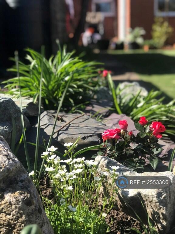 Additional image 5 of Southill Road, Bournemouth, BH9