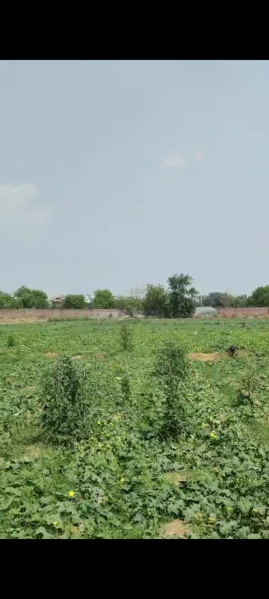Additional image 2 of Bahalgarh, Sonipat