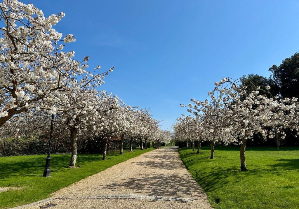 Additional image 21 of King Edwards Parade, Eastbourne, East Sussex