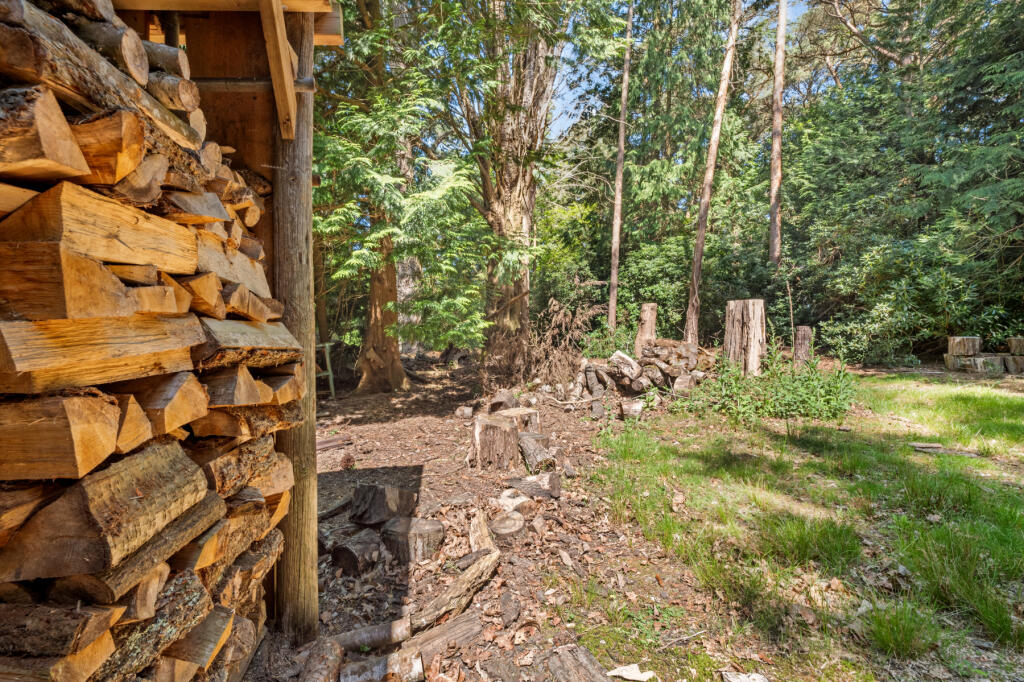 Additional image 15 of Wareham, Dorset