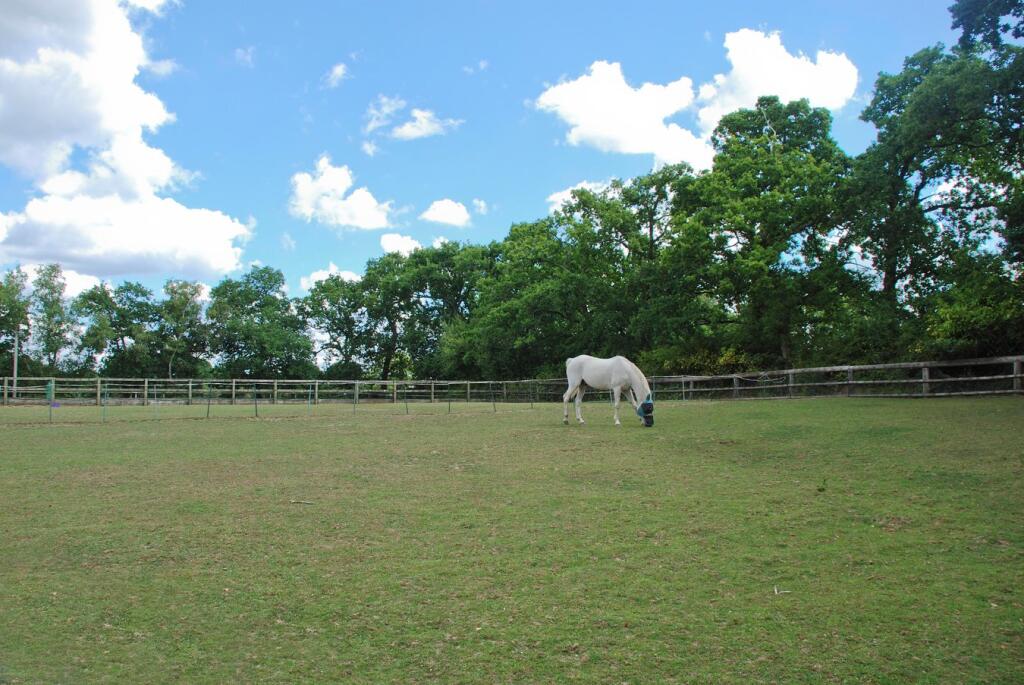 Additional image 23 of South Drive, Ossemsley, New Milton, BH25