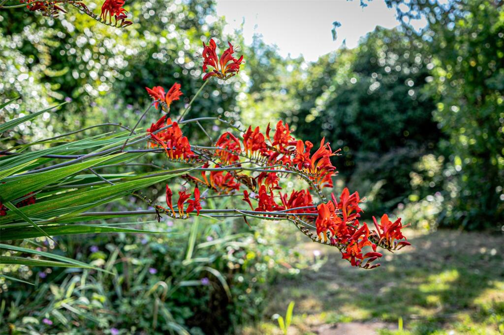 Additional image 16 of Wareham, Dorset