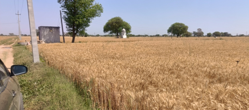 Additional image 2 of Pataudi Road, Gurgaon