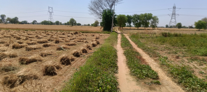 Additional image 3 of Pataudi Road, Gurgaon