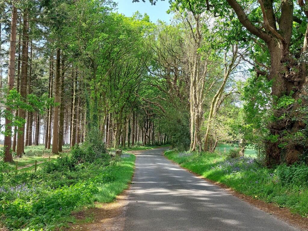Additional image 12 of Bere Regis,
Wareham,
Dorset,
BH207LP
