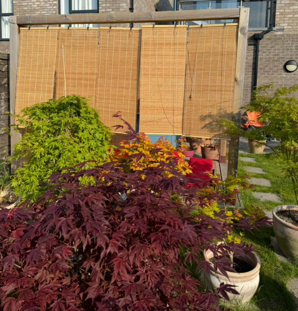 Additional image 33 of Macauley Drive, Eastbourne