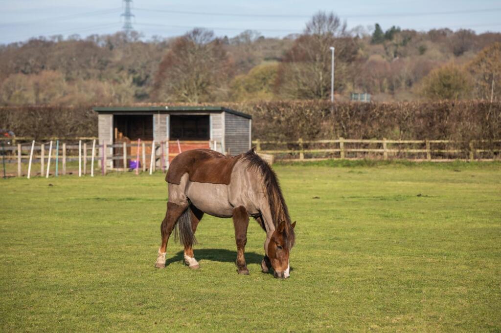 Additional image 2 of Willett Road, Ashington, Wimborne, Dorset, BH21