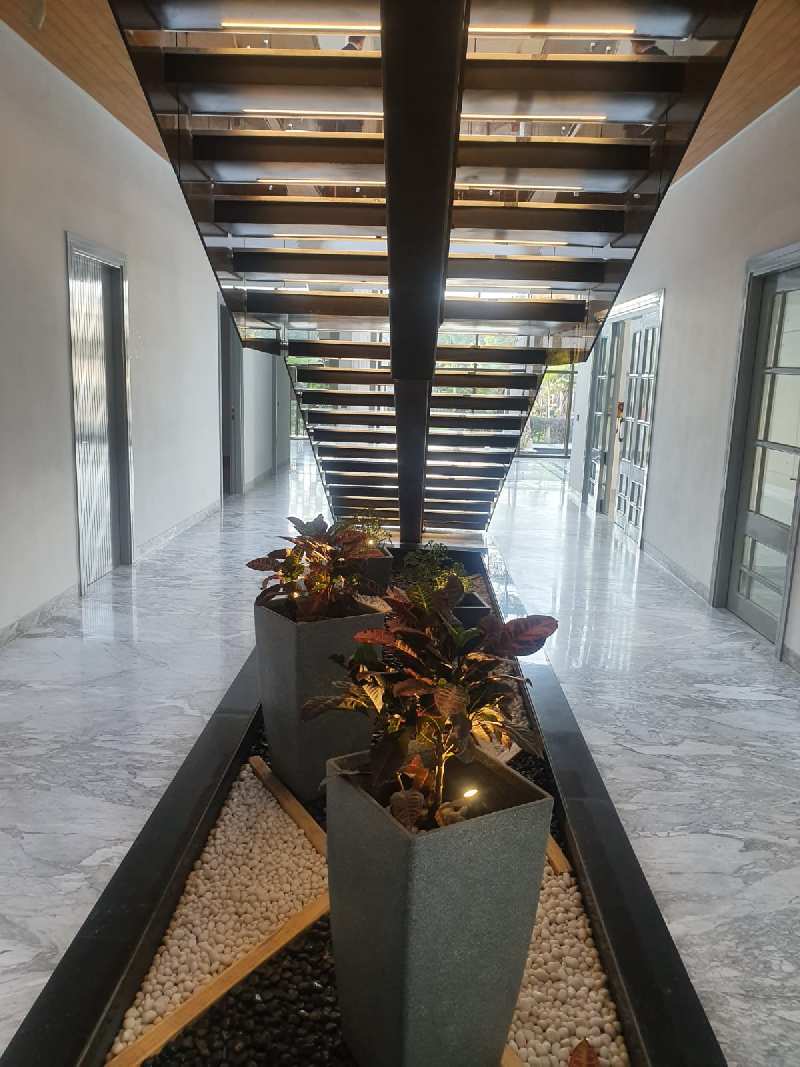 Additional image 2 of Radhey Mohan Drive, Chattarpur, Delhi