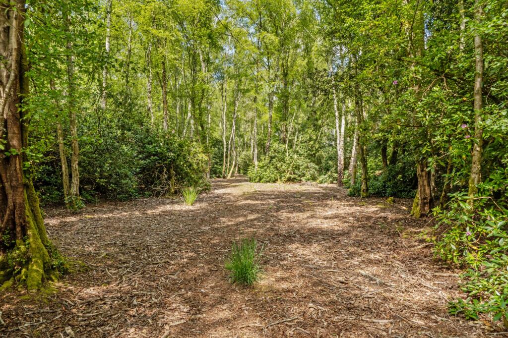 Additional image 13 of Wareham, Dorset