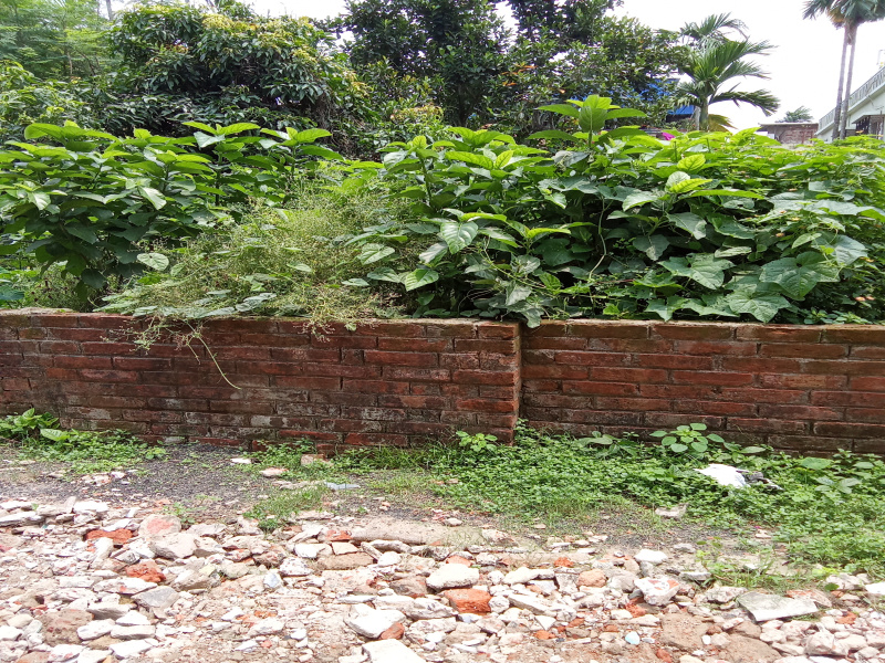 Kamalgazi, Narendrapur, Kolkata