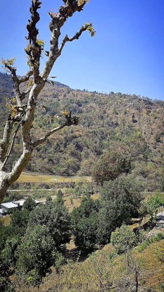 Additional image 2 of Thano, Dehradun