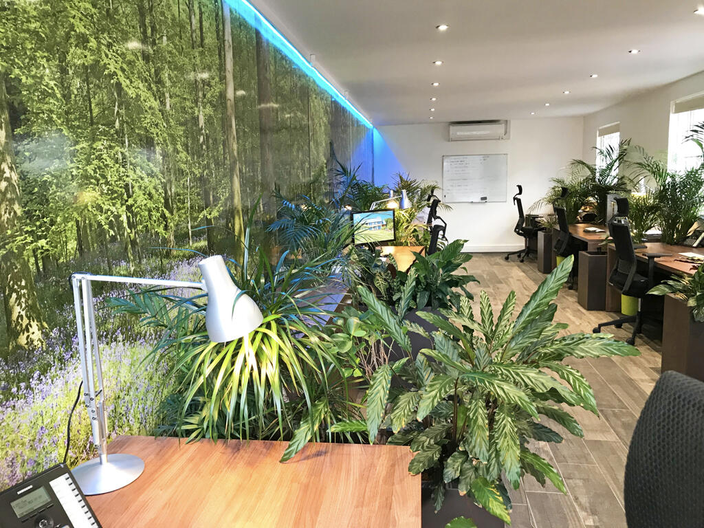 Additional image 6 of 2A Davis Road, Parkstone, Poole, Dorset