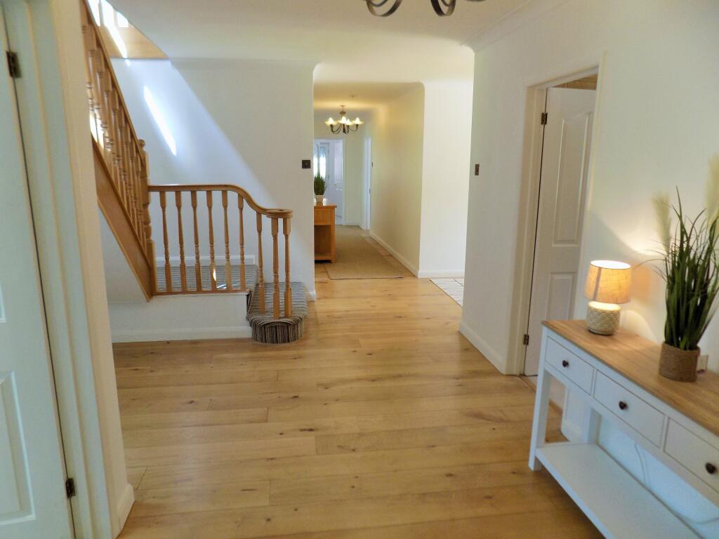 Additional image 2 of Matchams