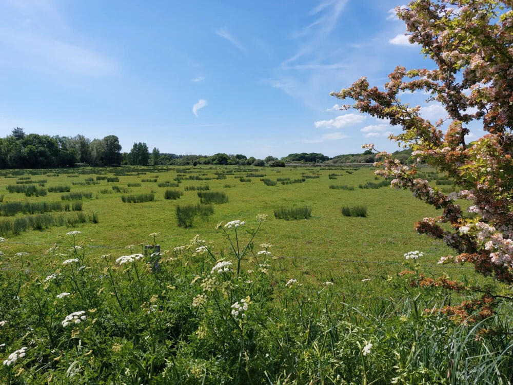 Additional image 10 of Wareham, Dorset, BH20