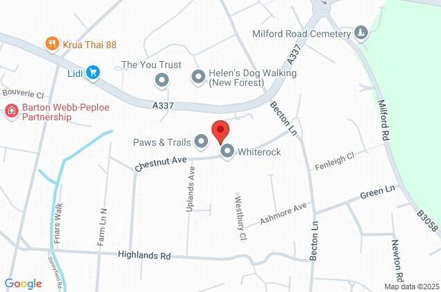 Additional image 32 of Chestnut Avenue, Barton on Sea, New Milton, Hampshire, BH25