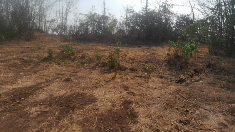 Additional image 3 of Murbad, Thane