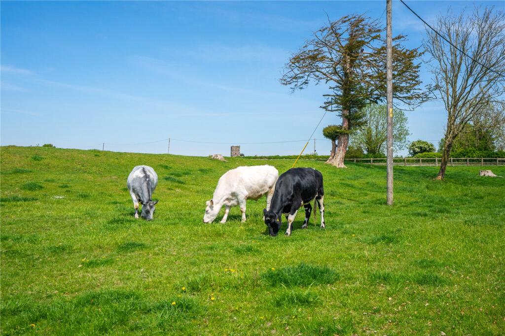 Additional image 4 of Knowlton, Wimborne, Dorset, BH21