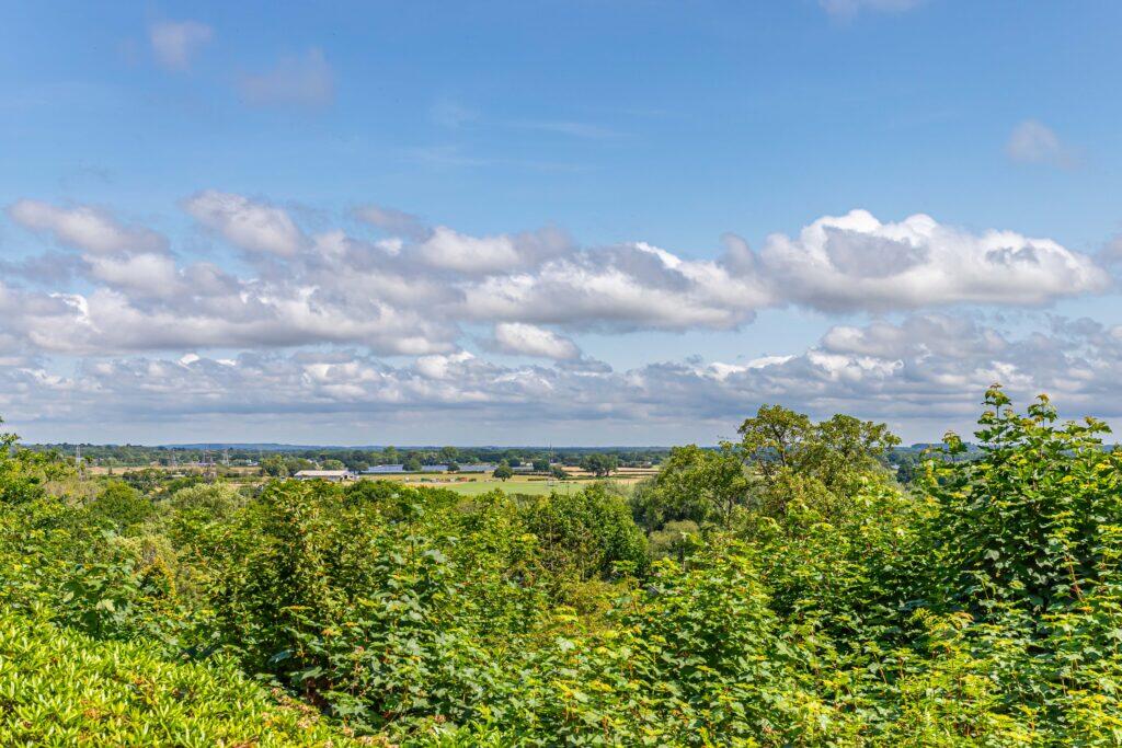 Additional image 14 of Magnolia House, Redhill Drive, Bournemouth, BH10 6AD