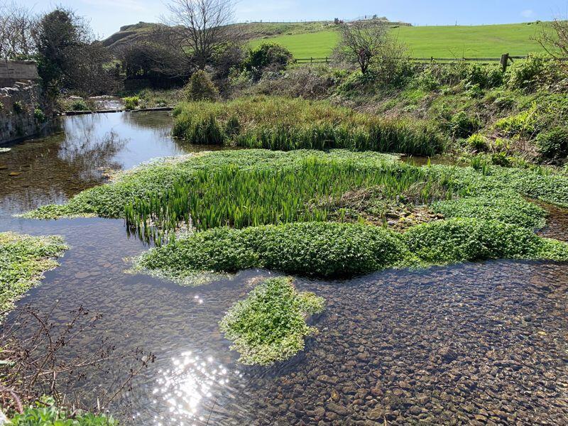 Additional image 23 of Beautifully Presented, Character 3 Bedroom Cottage In Quiet, Picturesque Rural Location
