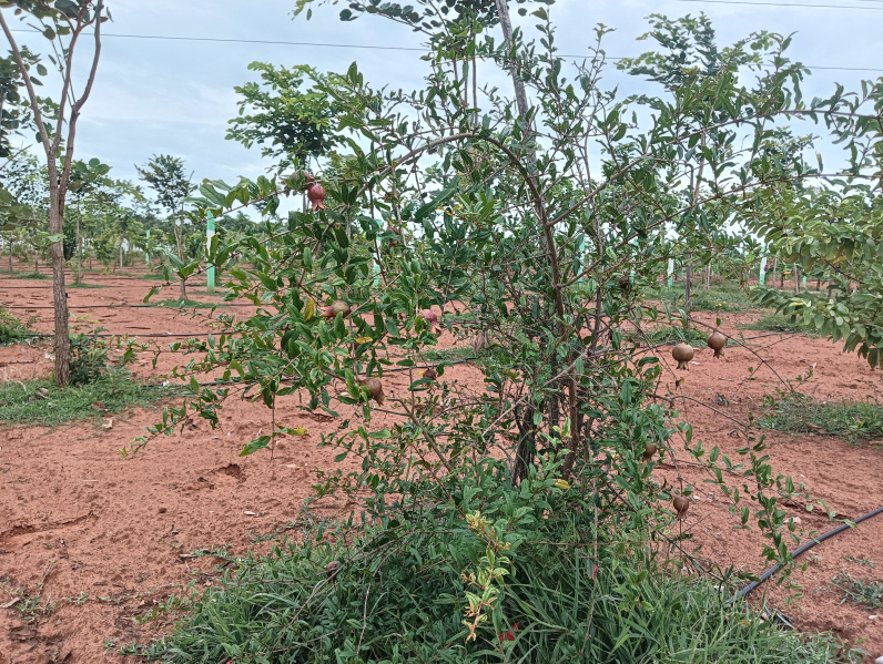 Additional image 2 of East Tambaram, Chennai