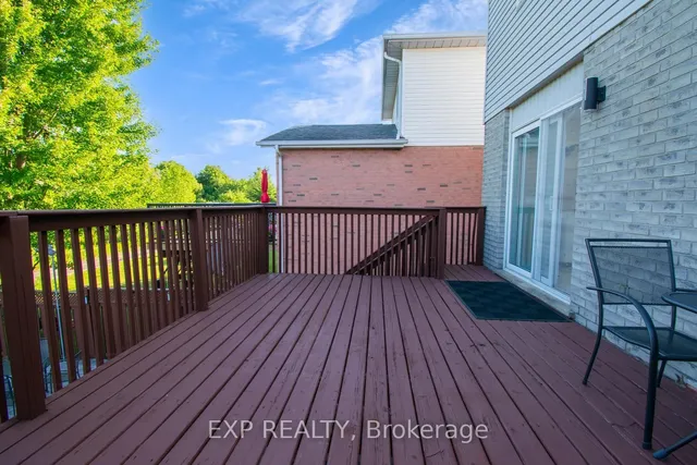 Additional image 46 of 171 RESURRECTION Dr