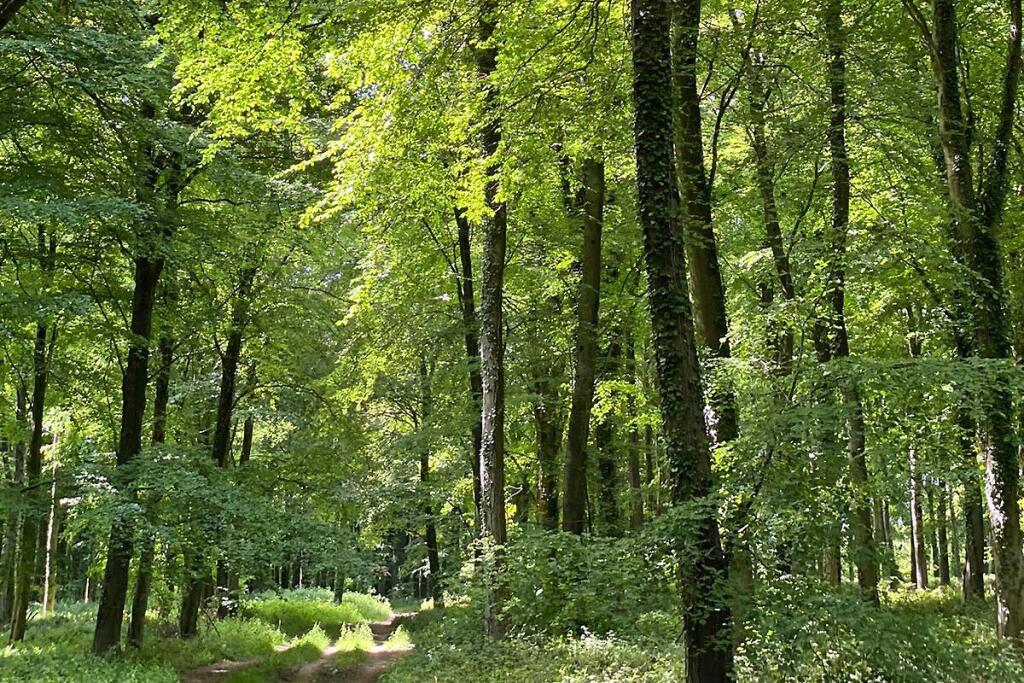 Additional image 23 of Hammerpot, Angmering, West Sussex