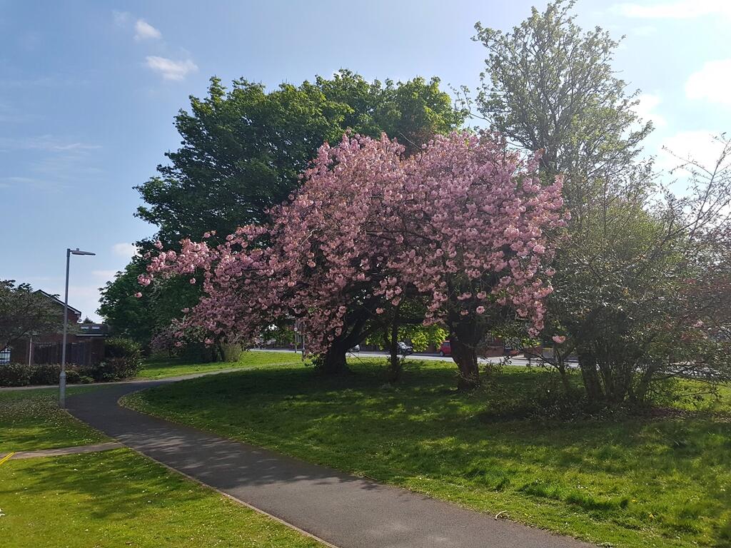 Additional image 12 of Cravenwood Rise, Westhoughton, BL5 3ZR