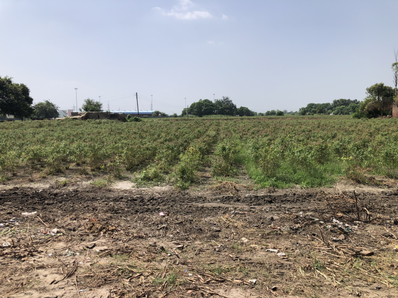 Additional image 3 of Sahnewal, Ludhiana