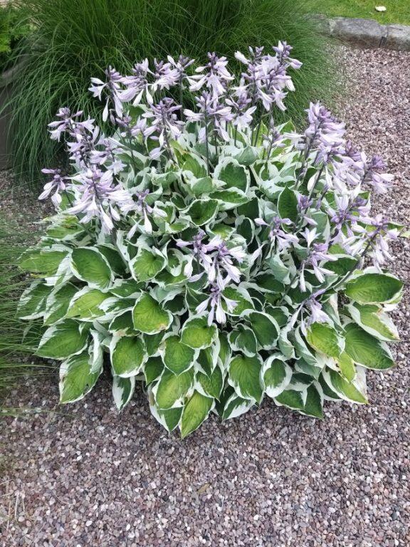 Additional image 46 of 5 Lostock Junction Lane, Bolton, BL6 4JR